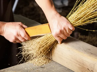 Illustration scutching - Image 1