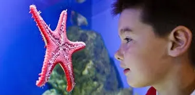 Illustration beholder - Image 2