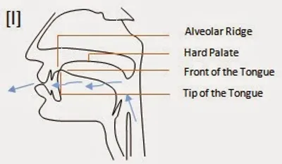 Illustration lateral - Image 2