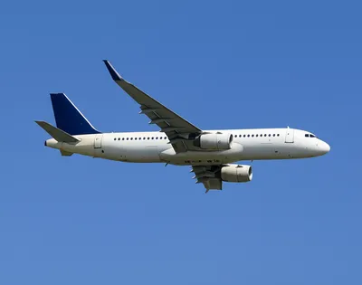 Illustration trimming - Image 1