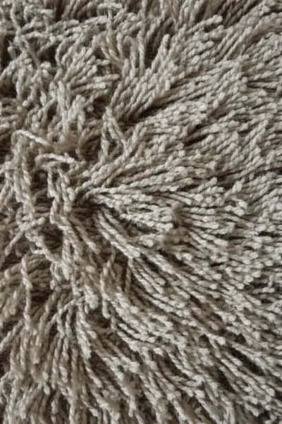 Illustration shag - Image 1