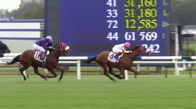 Illustration firms - Image 1