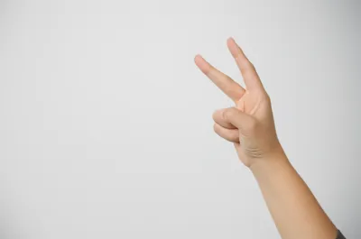 Illustration signing - Image 1