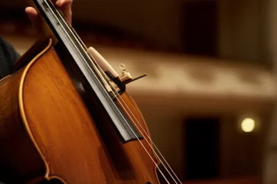 Illustration viola - Image 1