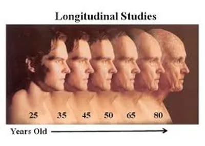 Illustration longitudinal - Image 2