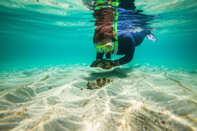 Illustration diver - Image 1