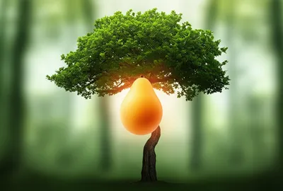 Illustration compendium