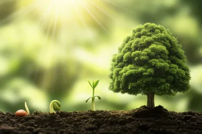 Illustration driving - Image 1