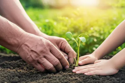 Illustration mending - Image 1