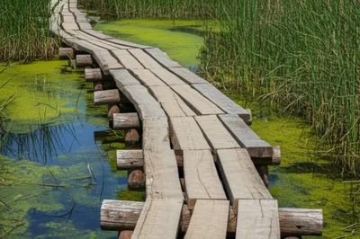 Illustration puncheon - Image 1