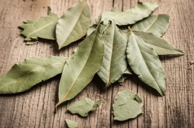 Illustration bays - Image 1