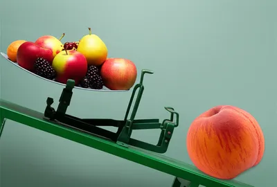 Illustration plumps - Image 1