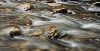 Illustration wimple - Image 1