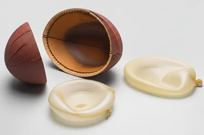 Illustration bladder - Image 1