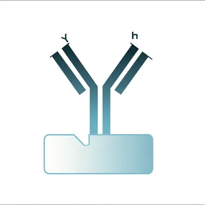 Illustration specific - Image 1