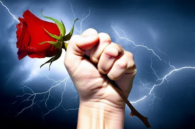 Illustration hate - Image 1