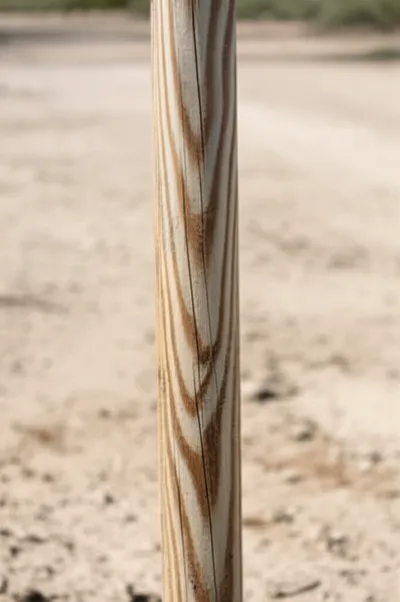 Illustration post - Image 1