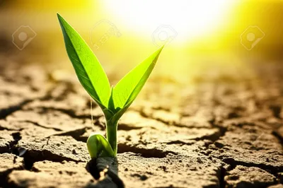 Illustration retrieved - Image 1