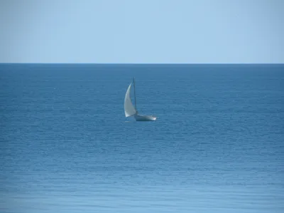 Illustration passive - Image 1