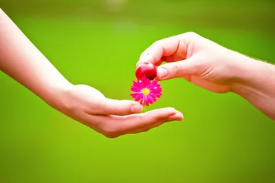 Illustration reciprocated