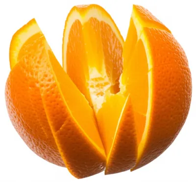 Illustration division - Image 1