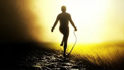 Illustration expiated - Image 1