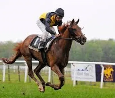 Illustration gallop - Image 2