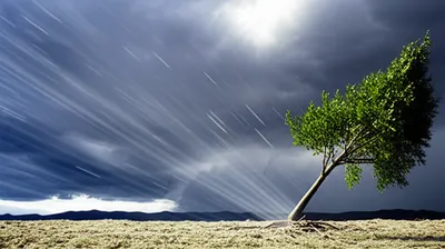 Illustration resilience