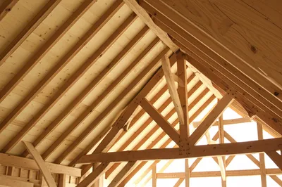 Illustration principals - Image 1