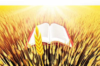 Illustration quantifier - Image 1