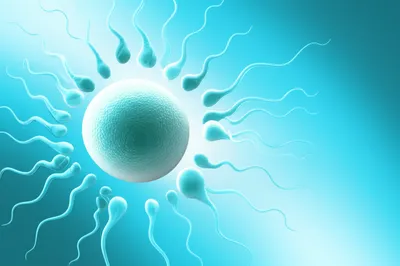 Illustration seed - Image 1