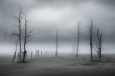 Illustration grey - Image 1