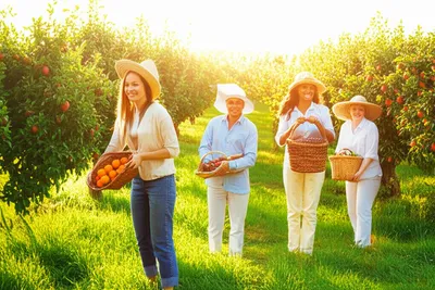 Illustration favourable - Image 1