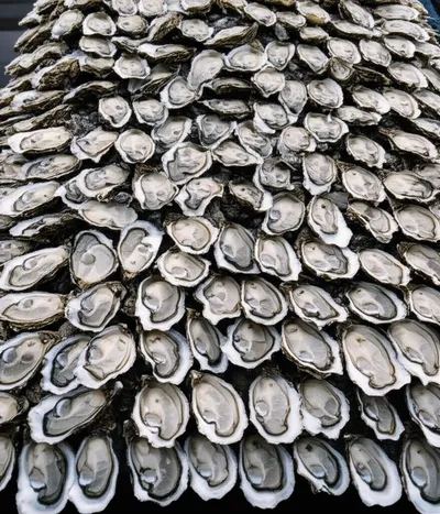 Illustration stew - Image 1