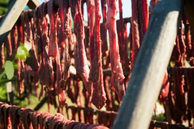 Illustration jerked - Image 1