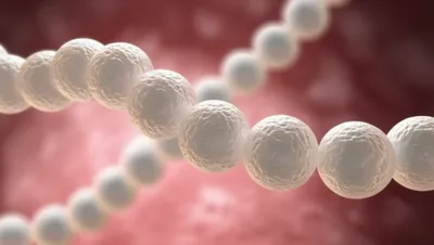 Illustration strep - Image 1