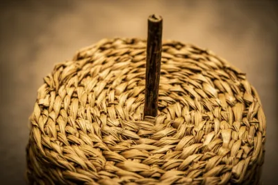 Illustration rushes - Image 1