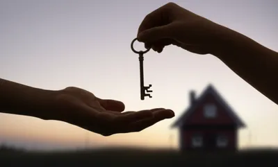 Illustration grant - Image 1