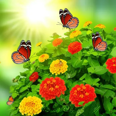 Illustration positives - Image 1