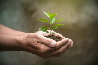 Illustration loves - Image 1