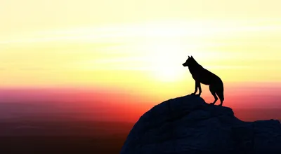 Illustration keen - Image 1