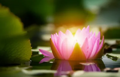 Illustration sacral - Image 1