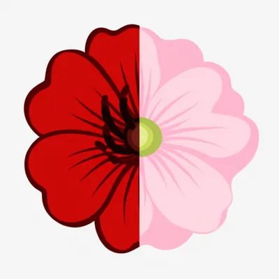 Illustration hermaphrodite