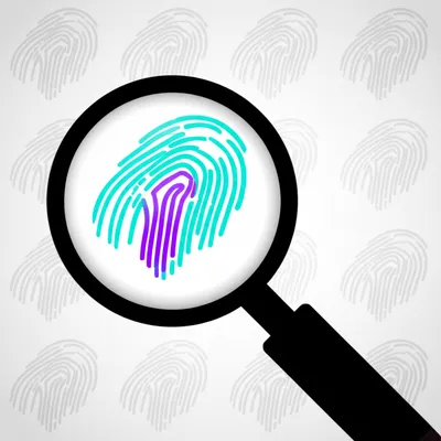 Illustration detect - Image 1