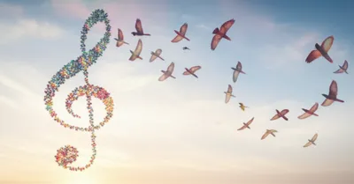 Illustration melismas