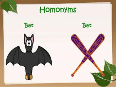 Illustration homonym - Image 2