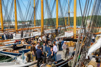 Illustration gams - Image 1