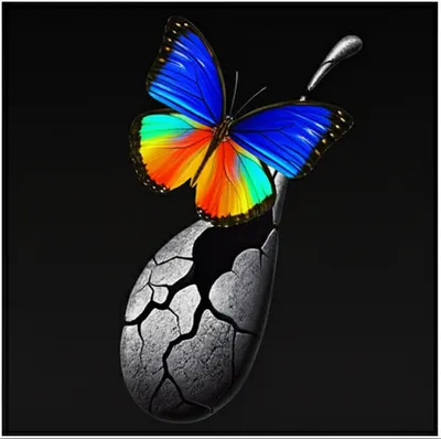 Illustration reversed - Image 1