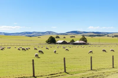 Illustration runs - Image 1