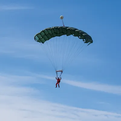 Illustration squidding - Image 1